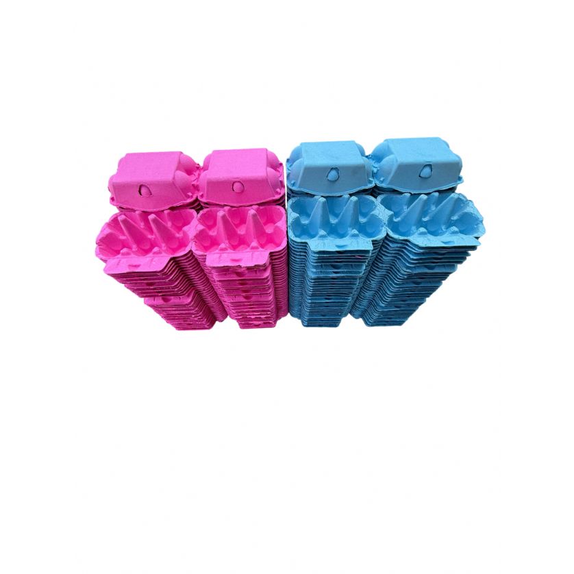 Eggcellent Cartons Premium Pink & Blue colour Egg Boxes
