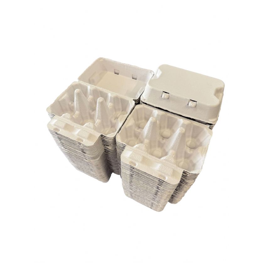 XL/Duck Egg Boxes