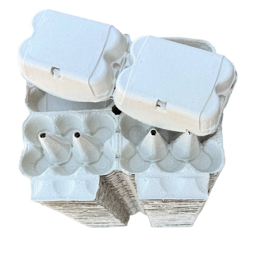 White Egg Boxes