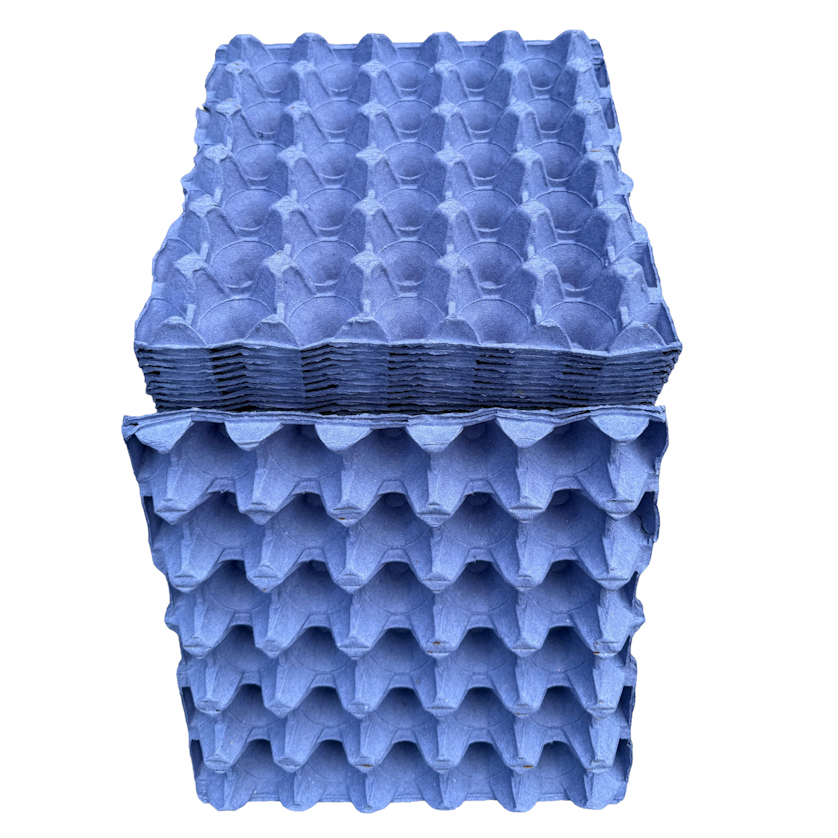 Blue Egg Trays