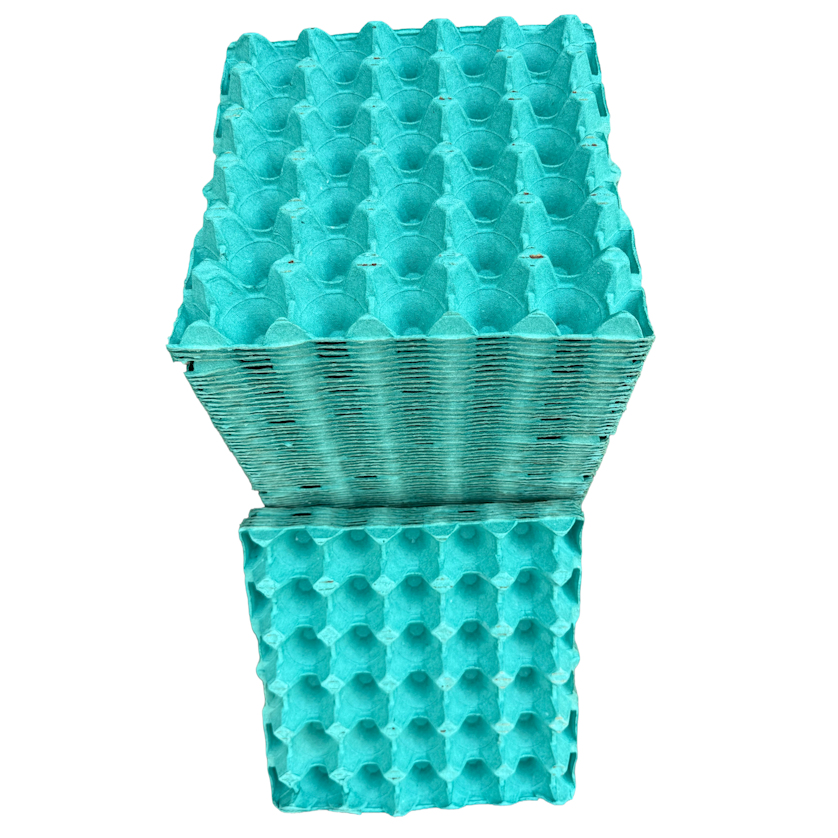 Green Egg Trays