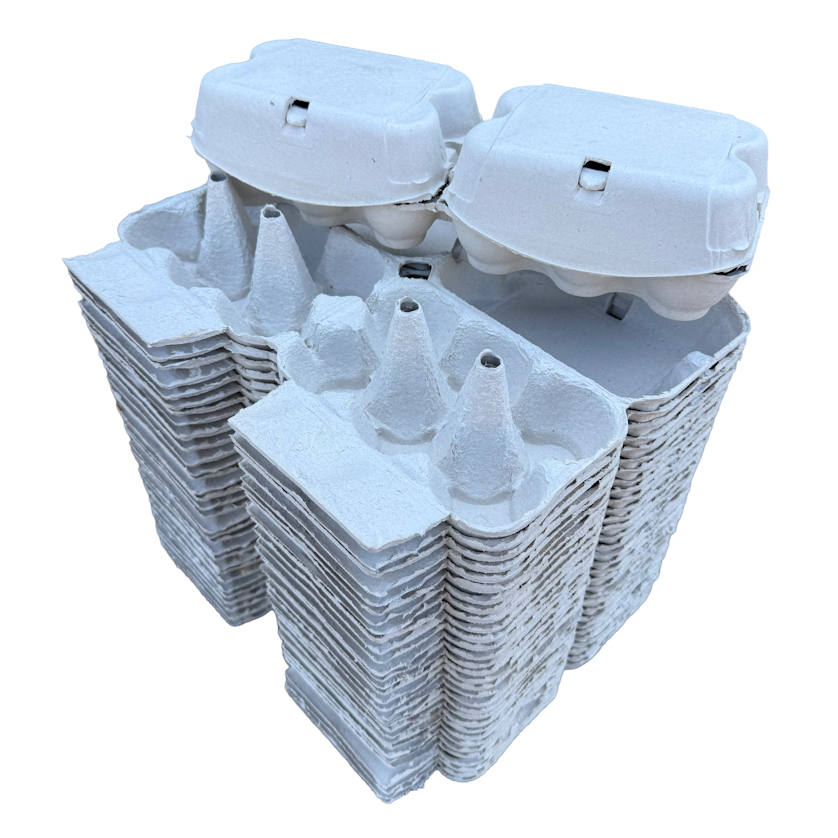 White Egg Boxes