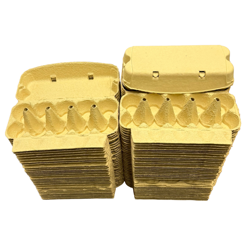 10 Cell Yellow Egg Boxes