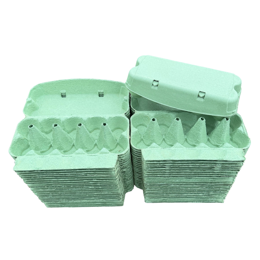 10 Cell Green Egg Boxes