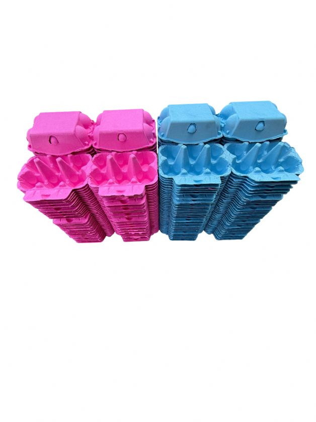 Eggcellent Cartons Premium Pink & Blue Egg Boxes