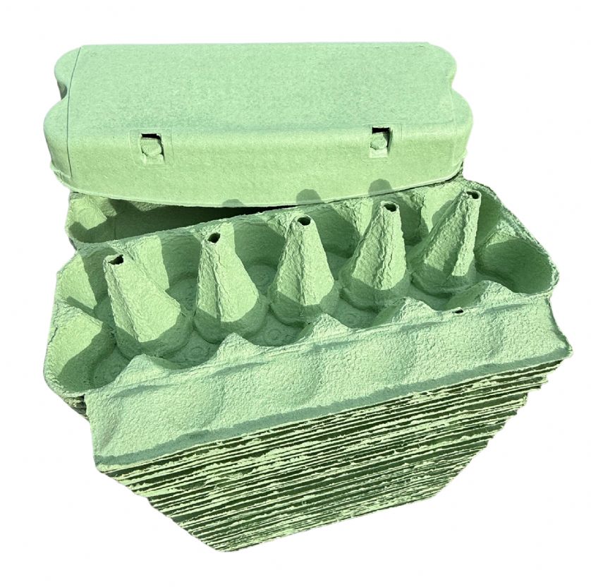 12 Cell Egg Boxes Green